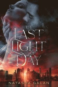 bokomslag The Last Light of Day