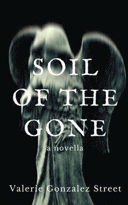 Valerie Gonzalez Street - Soil Of The Gone, Häftad
