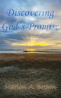 bokomslag Discovering God's Promise