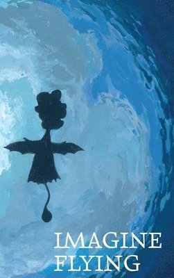 Meredith B Stoudenmire, Meredith B. Stoudenmire - Imagine Flying, Inbunden