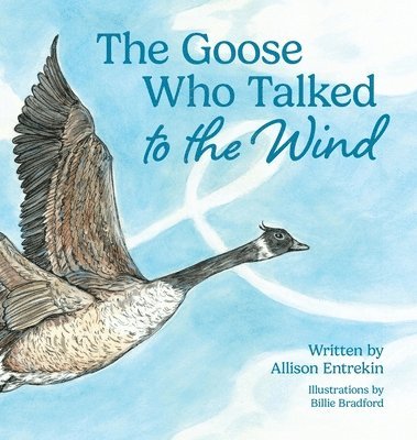 bokomslag The Goose Who Talked to the Wind