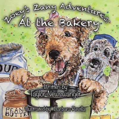 Zoey's Zany Adventures 1