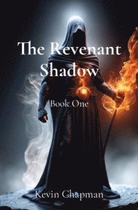 bokomslag The Revenant Shadow