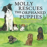 bokomslag Molly Rescues the Orphaned Puppies
