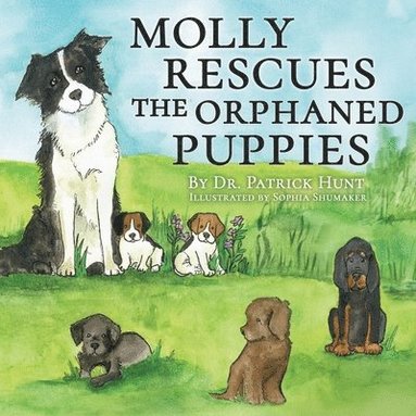 bokomslag Molly Rescues the Orphaned Puppies