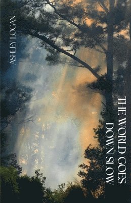 Ashley Logan - World Goes Down Slow, Häftad