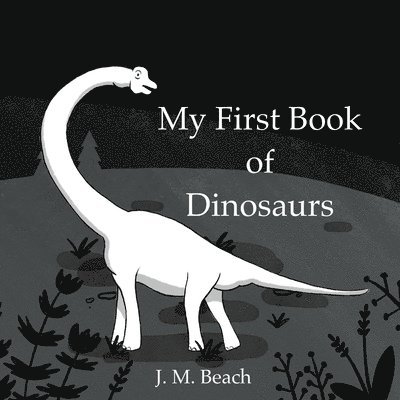 My First Book of Dinosaurs 1