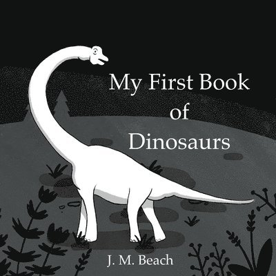 My First Book of Dinosaurs, Häftad