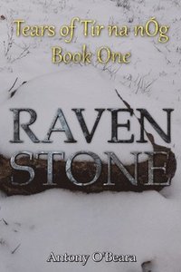 bokomslag Raven Stone