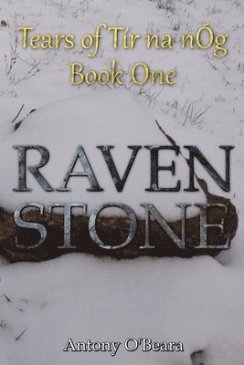 bokomslag Raven Stone
