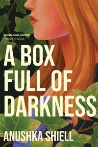 bokomslag A Box Full of Darkness