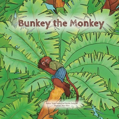 Bunkey the Monkey 1