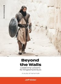 bokomslag Beyond the Walls