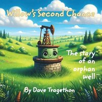 bokomslag Willow's Second Chance