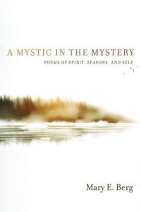 bokomslag Mystic in the Mystery