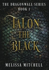 bokomslag Talon the Black