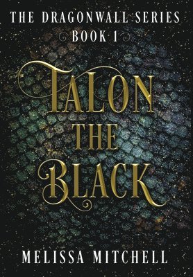 bokomslag Talon the Black