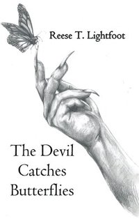 bokomslag Devil Catches Butterflies