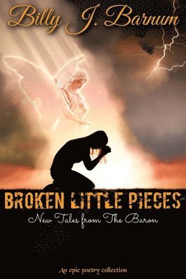 bokomslag Broken Little Pieces New Tales from The Baron