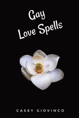 bokomslag Gay Love Spells