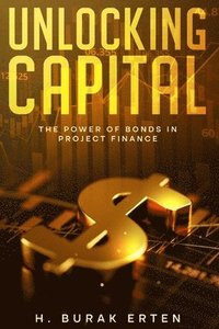 bokomslag Unlocking Capital