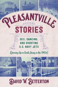 bokomslag Pleasantville Stories