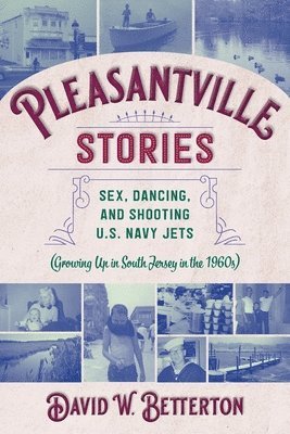 bokomslag Pleasantville Stories