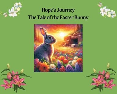 bokomslag Hope's Journey