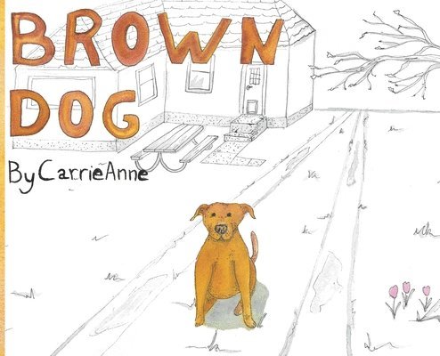 Brown Dog 1