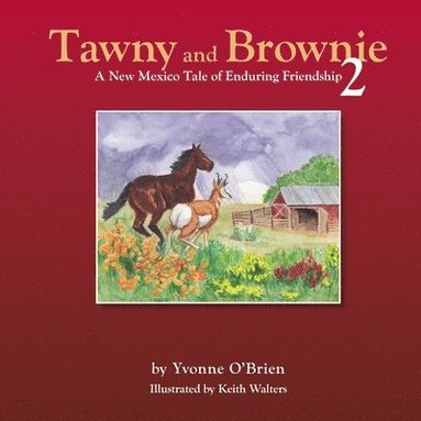 bokomslag Tawny and Brownie 2 A New Mexico Tale of Enduring Friendship