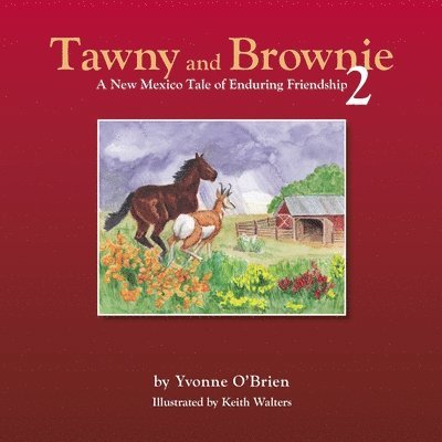 Tawny and Brownie 2 A New Mexico Tale of Enduring Friendship 1