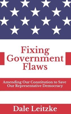 Fixing Government Flaws 1