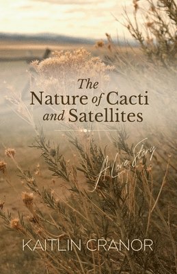 The Nature of Cacti and Satellites 1