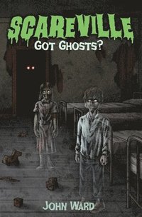 bokomslag Got Ghosts?