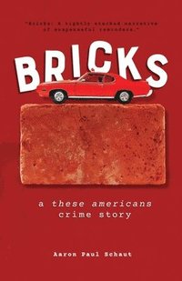 bokomslag Bricks