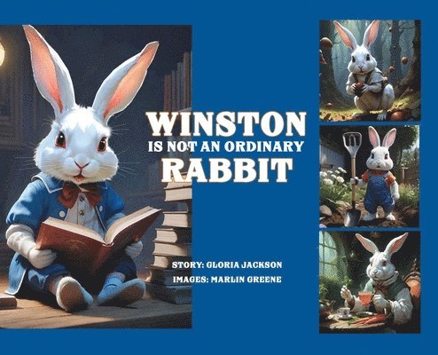 Winston Is Not An Ordinary Rabbit 1