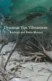 bokomslag Dynamis Vox Vibrantem