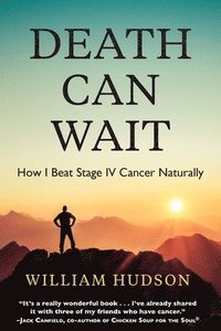 bokomslag Death Can Wait: How I Beat Stage IV Cancer Naturally