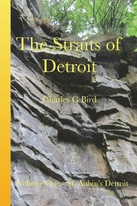 bokomslag Straits of Detroit