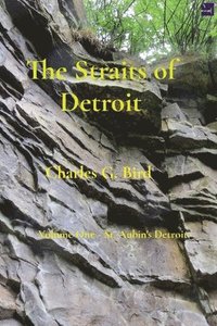 bokomslag The Straits of Detroit