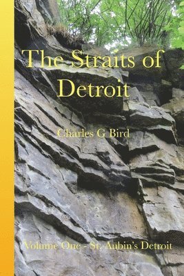 bokomslag Straits of Detroit
