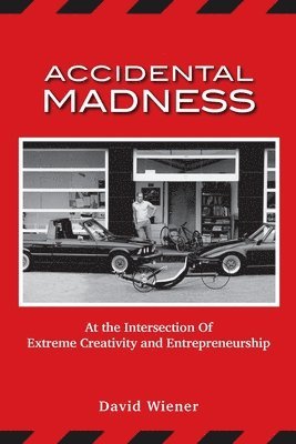 Accidental Madness: At The Intersection of Extreme Creativity and Entrepreneurship 1