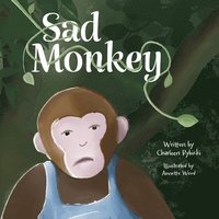 bokomslag Sad Monkey