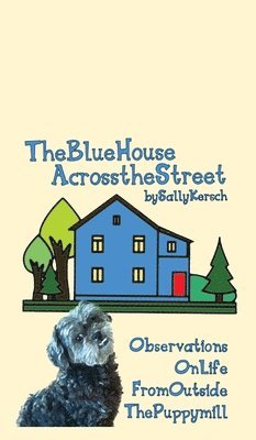 bokomslag The Blue House Across the Street