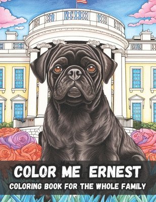 bokomslag Color Me Ernest For The Whole Family