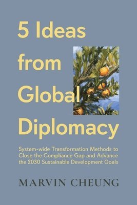 bokomslag 5 Ideas from Global Diplomacy