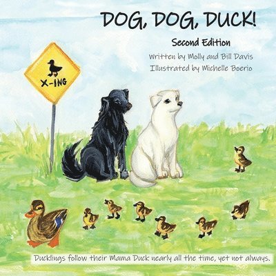 DOG, DOG, DUCK! Second Edition 1