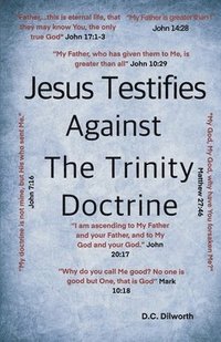 bokomslag Jesus Testifies Against The Trinity Doctrine