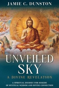 bokomslag Unveiled Sky A Divine Revelation