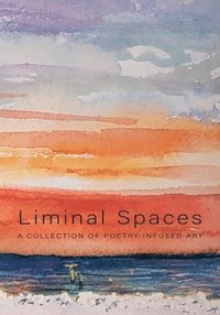 bokomslag Liminal Spaces